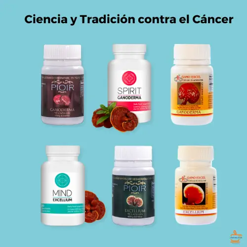 ganoderma lucidum estudios médicos