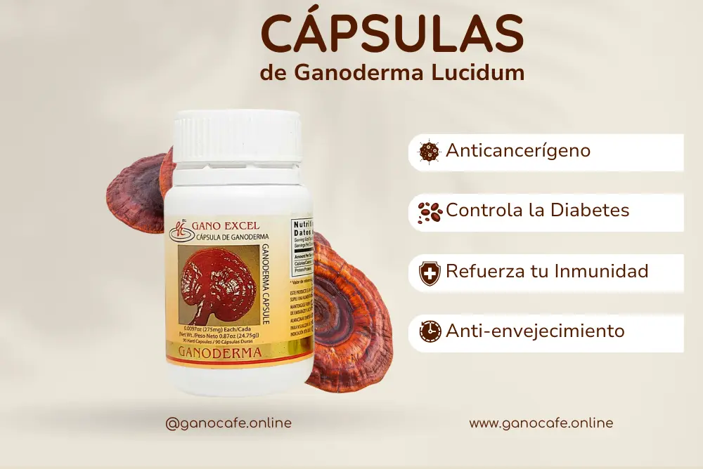 ganoderma capsulas para que sirve